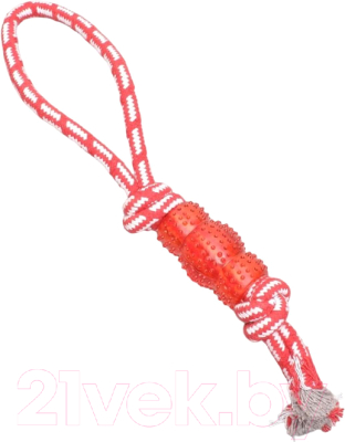 Игрушка для собак Пижон Узел с леденцом - фото