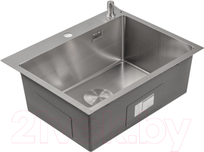 Мойка кухонная Roxen Snake 560220-60-S - фото