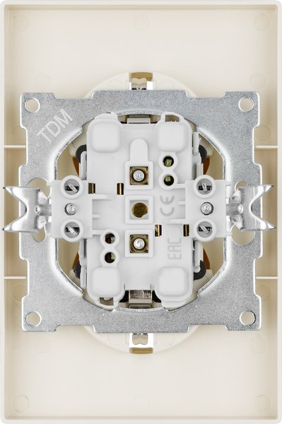 Розетка TDM Сенеж / SQ1816-0137