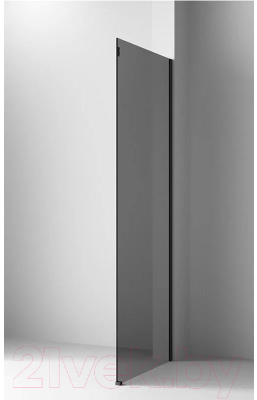 Душевая стенка Ambassador Benefit 110x200 / 110HBB