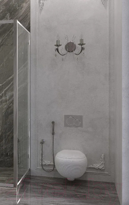 Душевая стенка Ambassador Forsa 70x200 / 70AX