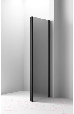 Душевая стенка Ambassador Intense 110x200 / 110IBB