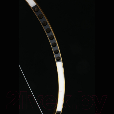 Люстра Aployt Noella APL.051.13.43 