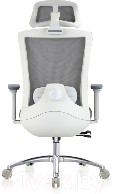 Кресло офисное Evolution Ergo Prime