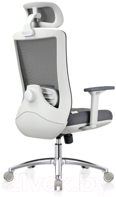 Кресло офисное Evolution Ergo Prime