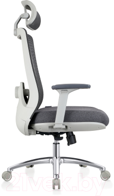 Кресло офисное Evolution Ergo Prime