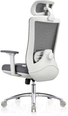 Кресло офисное Evolution Ergo Prime