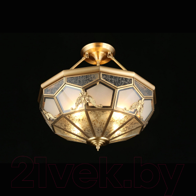 Люстра Aployt Leoni APL.625.17.04