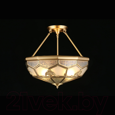 Люстра Aployt Leoni APL.625.17.04