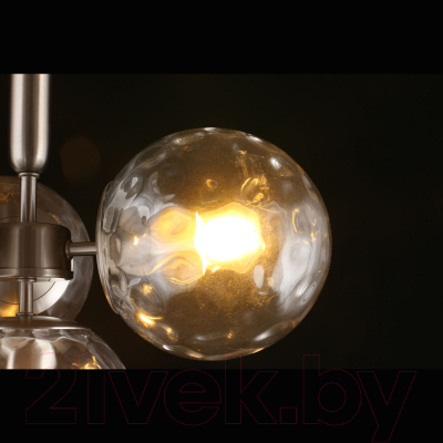 Люстра Aployt Lora APL.728.16.04