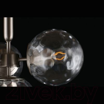 Люстра Aployt Lora APL.728.16.04