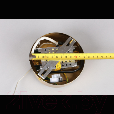 Потолочный светильник Aployt Olimp APL.045.06.15