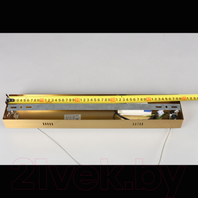 Потолочный светильник Aployt Olimp APL.045.06.20