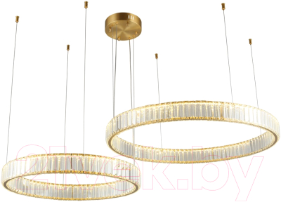 Потолочный светильник Aployt Nicoletta APL.026.03.85 - фото