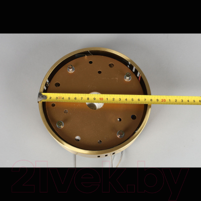 Потолочный светильник Aployt Nicoletta APL.026.03.85