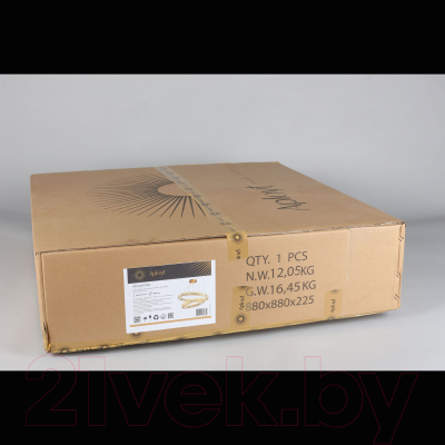 Потолочный светильник Aployt Nicoletta APL.026.13.85