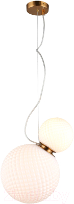 Потолочный светильник Aployt Patunia APL.301.06.02 - фото