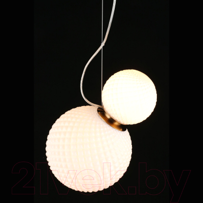 Потолочный светильник Aployt Patunia APL.301.06.02