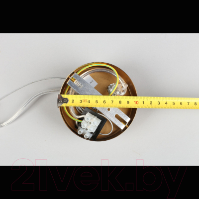 Потолочный светильник Aployt Patunia APL.301.06.02