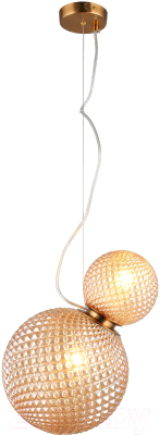 Потолочный светильник Aployt Patunia APL.301.16.02 - фото