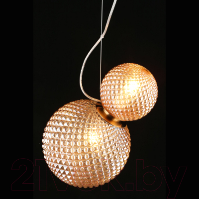 Потолочный светильник Aployt Patunia APL.301.16.02