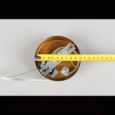 Потолочный светильник Aployt Patunia APL.301.16.02