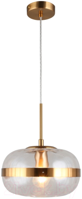 Потолочный светильник Aployt Gabriela APL.305.06.01 - фото