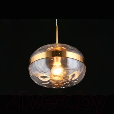 Потолочный светильник Aployt Gabriela APL.305.06.01