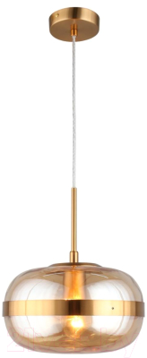 Потолочный светильник Aployt Gabriela APL.305.16.01 - фото