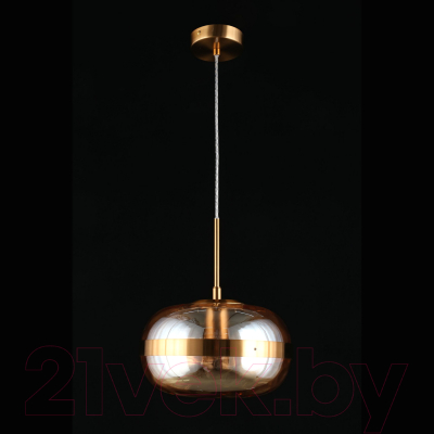 Потолочный светильник Aployt Gabriela APL.305.16.01