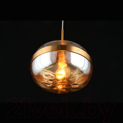 Потолочный светильник Aployt Gabriela APL.305.16.01