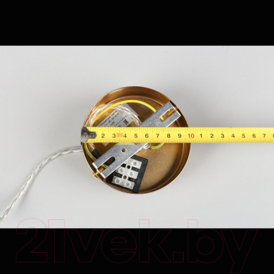 Потолочный светильник Aployt Gabriela APL.305.16.01