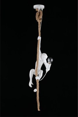 Потолочный светильник Aployt Magali APL.309.06.01