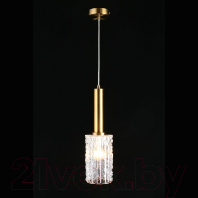 Потолочный светильник Aployt Henrite APL.310.06.01