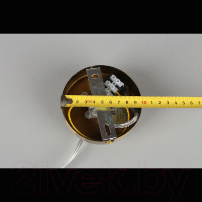 Потолочный светильник Aployt Henrite APL.310.06.01