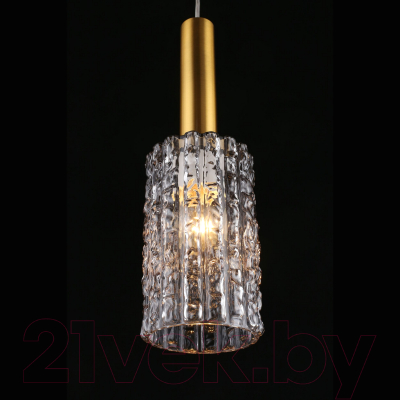 Потолочный светильник Aployt Henrite APL.310.16.01