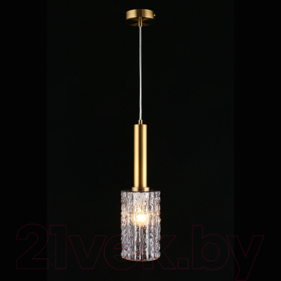 Потолочный светильник Aployt Henrite APL.310.16.01