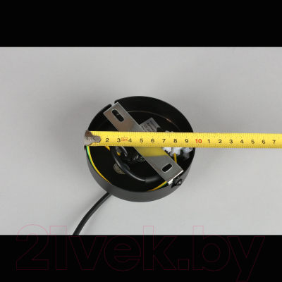 Потолочный светильник Aployt Jagna APL.312.06.02