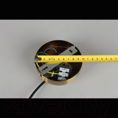 Потолочный светильник Aployt Jagna APL.312.16.02