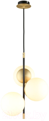 Потолочный светильник Aployt Kristina APL.313.06.03 - фото