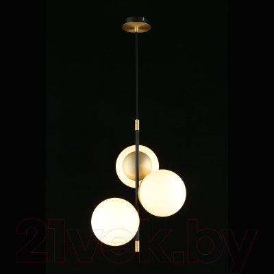 Потолочный светильник Aployt Kristina APL.313.06.03