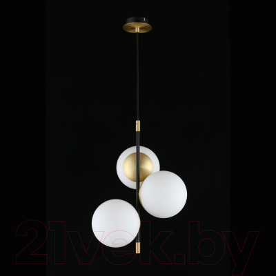 Потолочный светильник Aployt Kristina APL.313.06.03