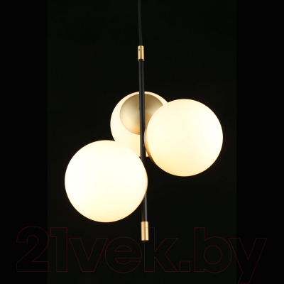 Потолочный светильник Aployt Kristina APL.313.06.03