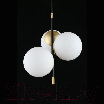 Потолочный светильник Aployt Kristina APL.313.06.03