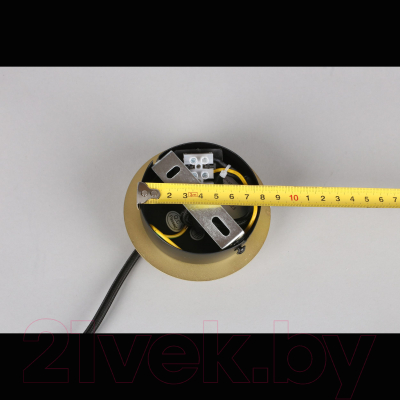 Потолочный светильник Aployt Kristina APL.313.06.03