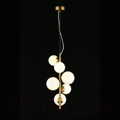 Потолочный светильник Aployt Letizia APL.314.06.06