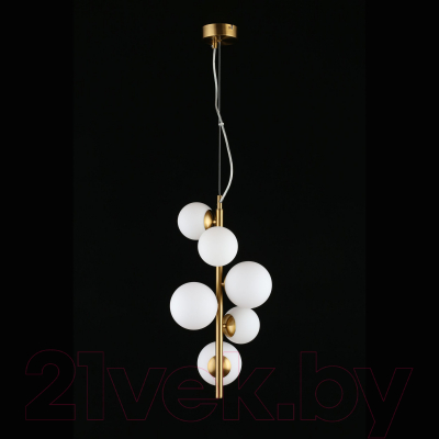 Потолочный светильник Aployt Letizia APL.314.06.06