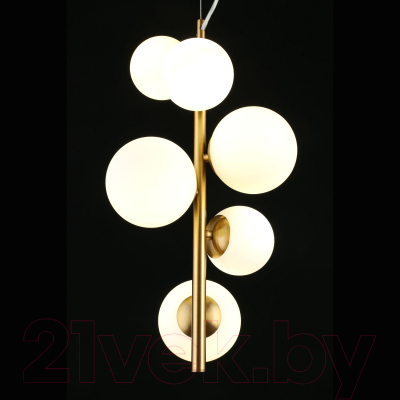 Потолочный светильник Aployt Letizia APL.314.06.06