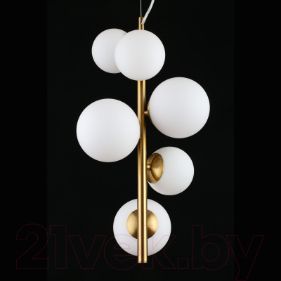 Потолочный светильник Aployt Letizia APL.314.06.06