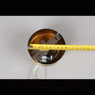 Потолочный светильник Aployt Letizia APL.314.06.06